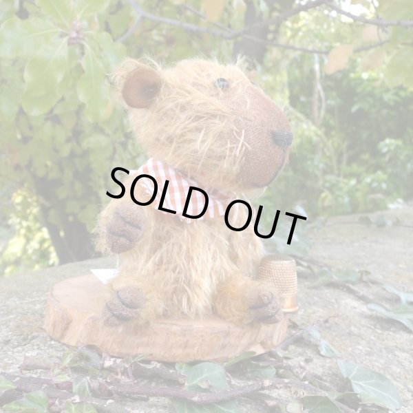 画像3: イアンさんのお気に入り☆ 1点もの☆　カピバラのクライヴ 13 cm by Lynne Farmer（英）