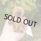 画像: イアンさんのお気に入り☆ 1点もの☆　カピバラのクライヴ 13 cm by Lynne Farmer（英）