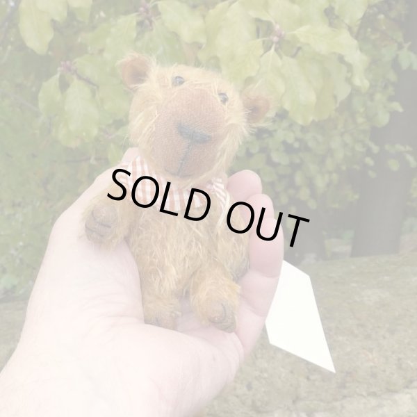 画像1: イアンさんのお気に入り☆ 1点もの☆　カピバラのクライヴ 13 cm by Lynne Farmer（英）