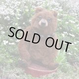 画像: イアンさん絶賛！2016年☆ Philipp 22 cm by Ekaterina Bushmakina（ロシア）