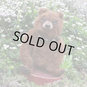 画像: イアンさん絶賛！2016年☆ Philipp 22 cm by Ekaterina Bushmakina（ロシア）