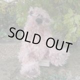 画像: 初登場☆ シリアルナンバー 1番☆ 2005年 Thistle 43 cm by Jill Baxter （英)