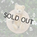 画像: Steiff Blond Original Teddy 15cm 推定1960年代　（ビンテージ）