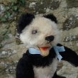 画像4: 13cm Steiff Panda 推定1951年〜1961年頃　（ビンテージ）