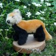 画像2: イアンさんのお気に入り☆ 10cm Steiff Pandy Red Panda 1963年-1964年頃　（ビンテージ）