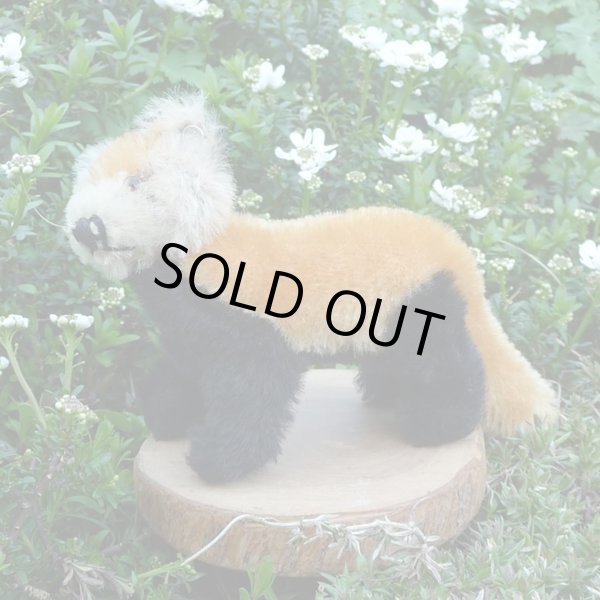 画像2: イアンさんのお気に入り☆ 10cm Steiff Pandy Red Panda 1963年-1964年頃　（ビンテージ）