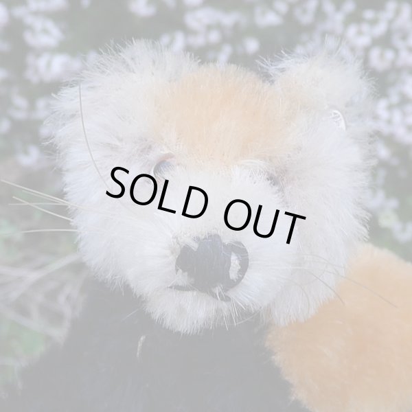 画像5: イアンさんのお気に入り☆ 10cm Steiff Pandy Red Panda 1963年-1964年頃　（ビンテージ）