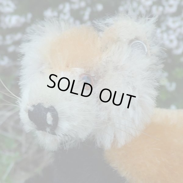 画像6: イアンさんのお気に入り☆ 10cm Steiff Pandy Red Panda 1963年-1964年頃　（ビンテージ）