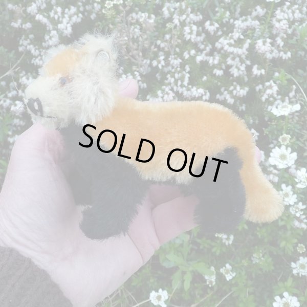 画像4: イアンさんのお気に入り☆ 10cm Steiff Pandy Red Panda 1963年-1964年頃　（ビンテージ）