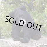 画像: イアンさん絶賛☆ 2010年 ☆ Sara 48cm by Gisela Hofmann（ドイツ）