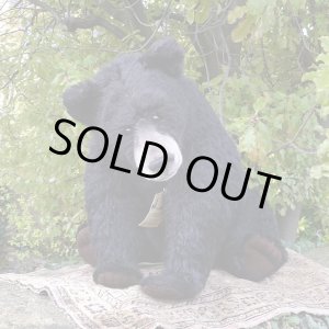 画像: イアンさん絶賛☆ 2010年 ☆ Sara 48cm by Gisela Hofmann（ドイツ）