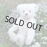 画像: 1点限り☆  2005年 シュタイフ イングランドローズ 30cm 1331番 イギリス限定品