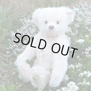 画像: 1点限り☆  2005年 シュタイフ イングランドローズ 30cm 1331番 イギリス限定品