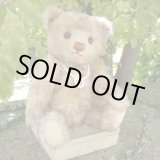 画像: 【ウィットニー限定】　シュタイフ ハッピー 22cm 　244番