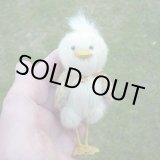 画像: イアンさんのお気に入り☆ 1点もの☆ Lino by Mie Ueda 10.5 cm　(日本）