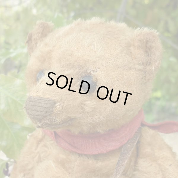 画像3: 2003年☆ Izaak Walton by Liz  23cm（フォーゲットミーノット）1番