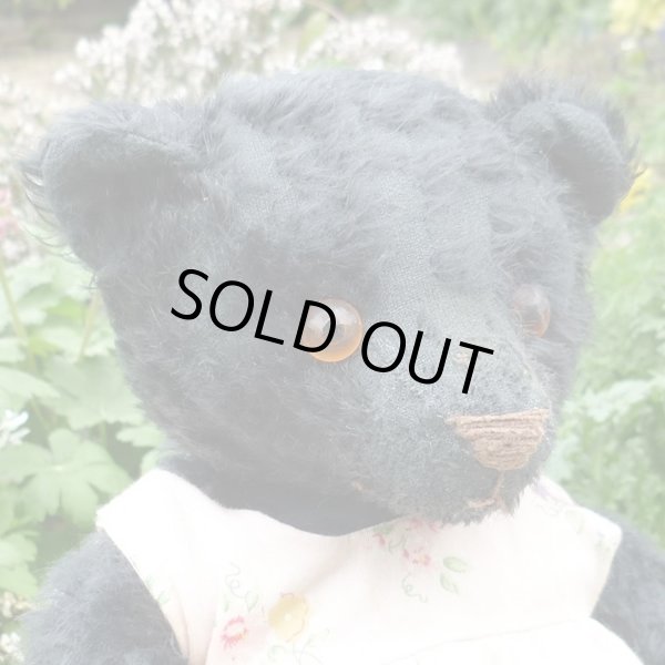 画像3: 2000年☆1点もの☆ Wenni Fallorin　by Joy 37cm（フォーゲットミーノット）