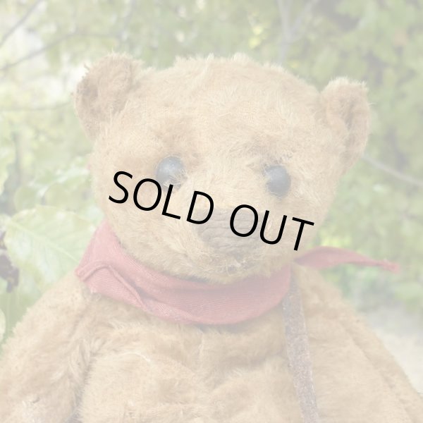 画像2: 2003年☆ Izaak Walton by Liz  23cm（フォーゲットミーノット）1番