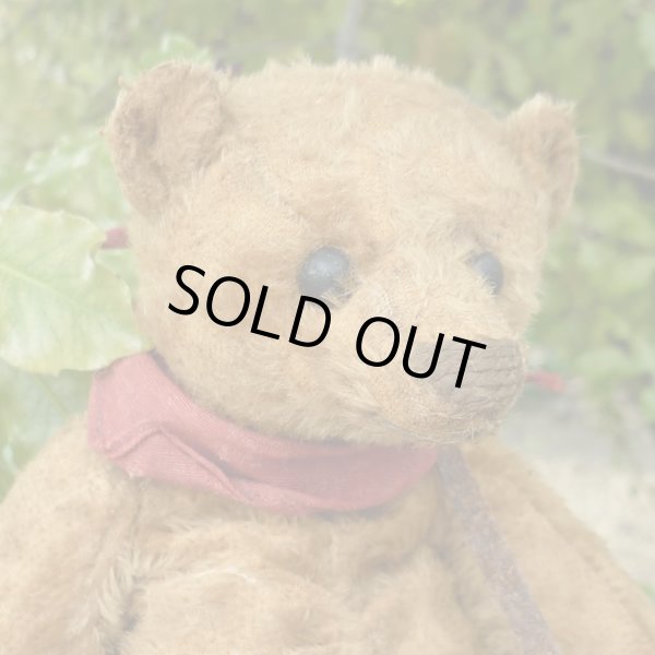 画像4: 2003年☆ Izaak Walton by Liz  23cm（フォーゲットミーノット）1番