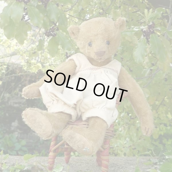 画像2: 1体限り☆ 2000年☆ Billy Gillett by Liz  25cm（フォーゲットミーノット）3番