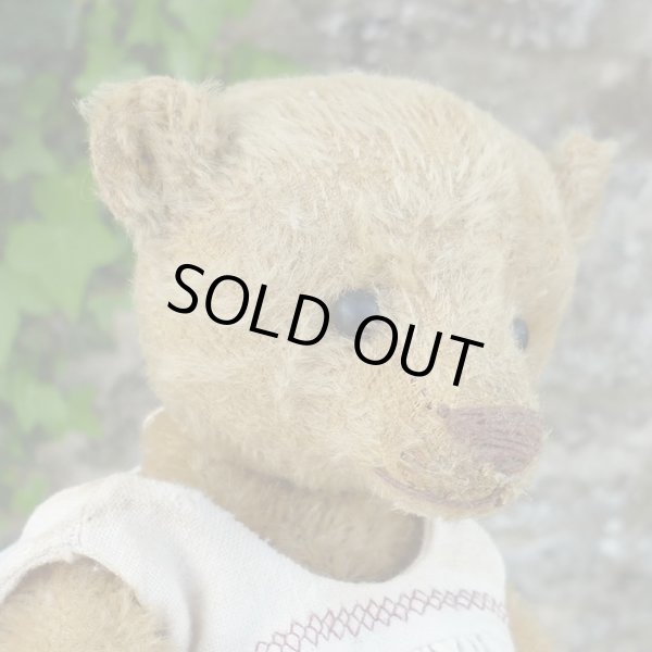 画像7: 1体限り☆ 2000年☆ Billy Gillett by Liz  25cm（フォーゲットミーノット）3番