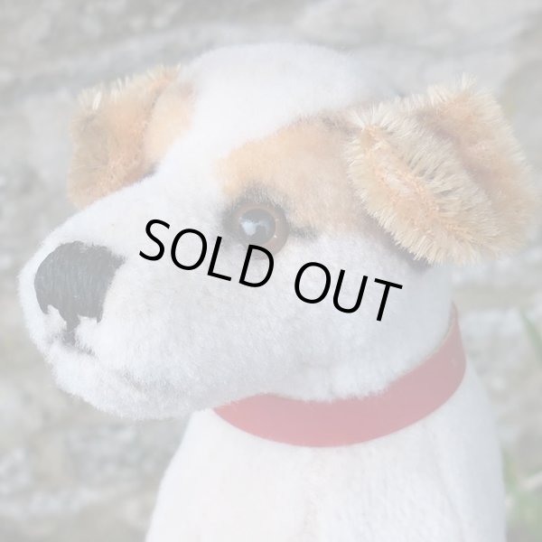 画像3: 激レアです！！ Steiff Elektrola Fox Terrier 17cm 推定1968-1969年頃（ビンテージ）