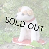 画像: 激レアです！！ Steiff Elektrola Fox Terrier 17cm 推定1968-1969年頃（ビンテージ）