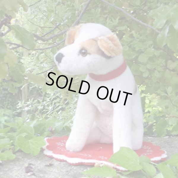 画像1: 激レアです！！ Steiff Elektrola Fox Terrier 17cm 推定1968-1969年頃（ビンテージ）