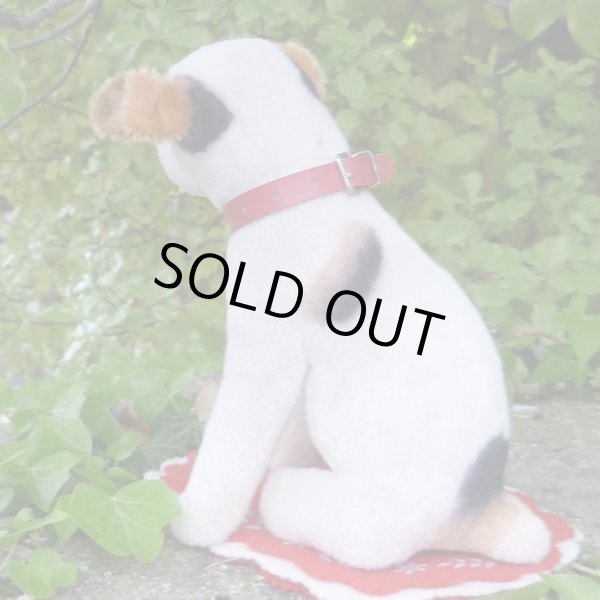 画像6: 激レアです！！ Steiff Elektrola Fox Terrier 17cm 推定1968-1969年頃（ビンテージ）
