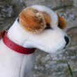 画像4: 激レアです！！ Steiff Elektrola Fox Terrier 17cm 推定1968-1969年頃（ビンテージ）