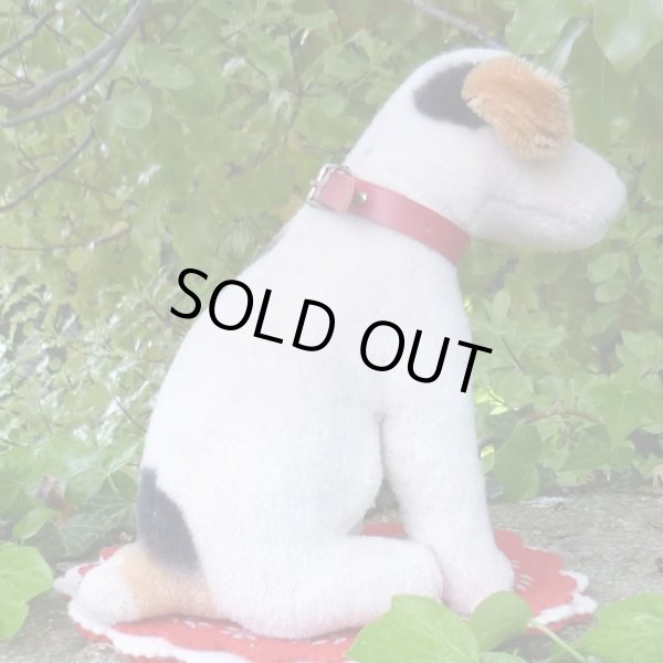 画像5: 激レアです！！ Steiff Elektrola Fox Terrier 17cm 推定1968-1969年頃（ビンテージ）