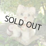 画像: 大変かわいいお顔です☆ 10cm Steiff Susi Cat 推定1950年-1960年代（ビンテージ）