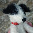 画像6: 1点もの☆ Archie 14cm by Lynne Farmer(英)