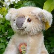 画像4: ID全てあり☆ 12cm Steiff Koala Bear 推定1959年-1961年代（ビンテージ）