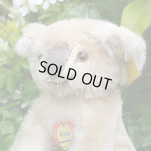 画像4: ID全てあり☆ 12cm Steiff Koala Bear 推定1959年-1961年代（ビンテージ）