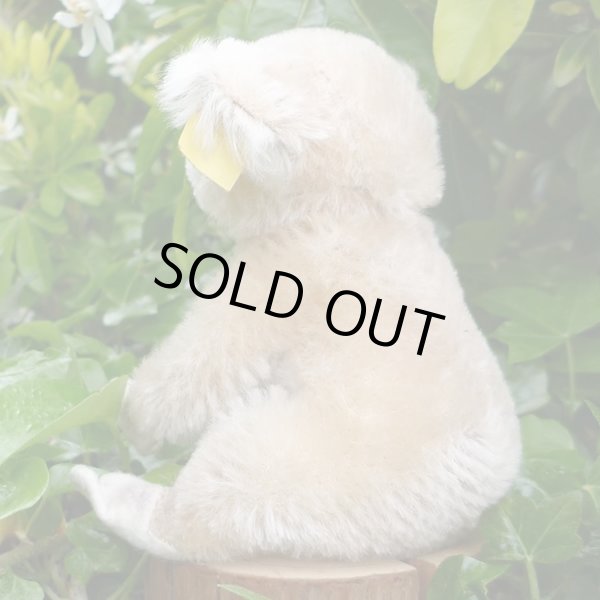 画像5: ID全てあり☆ 12cm Steiff Koala Bear 推定1959年-1961年代（ビンテージ）