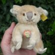 画像6: ID全てあり☆ 12cm Steiff Koala Bear 推定1959年-1961年代（ビンテージ）