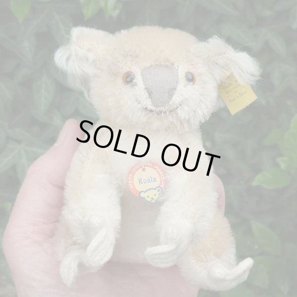 画像6: ID全てあり☆ 12cm Steiff Koala Bear 推定1959年-1961年代（ビンテージ）