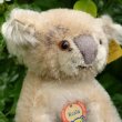 画像3: ID全てあり☆ 12cm Steiff Koala Bear 推定1959年-1961年代（ビンテージ）