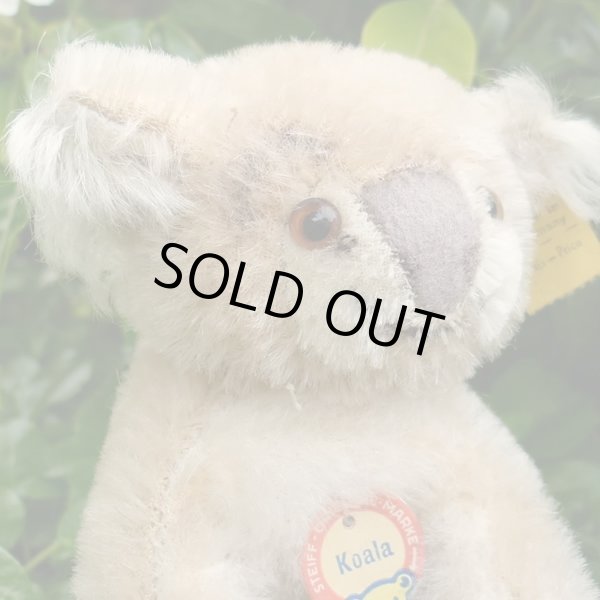 画像3: ID全てあり☆ 12cm Steiff Koala Bear 推定1959年-1961年代（ビンテージ）