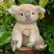 画像1: ID全てあり☆ 12cm Steiff Koala Bear 推定1959年-1961年代（ビンテージ）