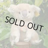 画像: ID全てあり☆ 12cm Steiff Koala Bear 推定1959年-1961年代（ビンテージ）