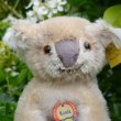 画像2: ID全てあり☆ 12cm Steiff Koala Bear 推定1959年-1961年代（ビンテージ）