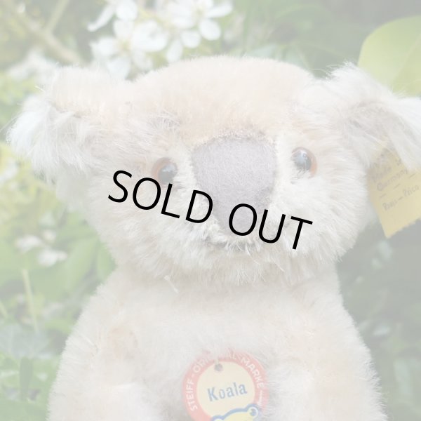 画像2: ID全てあり☆ 12cm Steiff Koala Bear 推定1959年-1961年代（ビンテージ）
