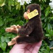 画像3: ID全てあり！新品のような状態です☆ 16cm Steiff Jocko Chimpanzee 1978年〜1981年頃　（ビンテージ）