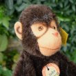 画像5: ID全てあり！新品のような状態です☆ 16cm Steiff Jocko Chimpanzee 1978年〜1981年頃　（ビンテージ）