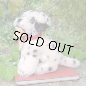 画像: ID全てあり!素晴らしい状態です☆ 10cm Steiff Dally Dalmatian Sitting 1959年〜1967年頃 (ビンテージ)