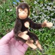 画像8: ID全てあり！新品のような状態です☆ 16cm Steiff Jocko Chimpanzee 1978年〜1981年頃　（ビンテージ）