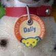 画像7: ID全てあり！素晴らしい状態です☆ 10cm Steiff Dally Dalmatian Sitting 1959年〜1967年頃　（ビンテージ）