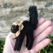 画像5: ID全てあり☆ Steiff Black Tom Cat 8cm 推定1950年-1958年頃（ビンテージ）